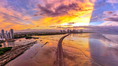 Senior Sustainability Leaders Tell Us Why ESG Won’t Die in 2025